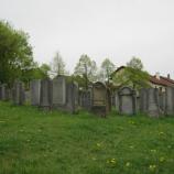Der jüdische Friedhof in Höchberg, Foto: Rebekka Denz